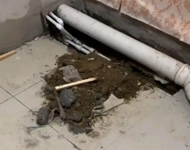 乌伊岭卫生间漏水检测哪家好